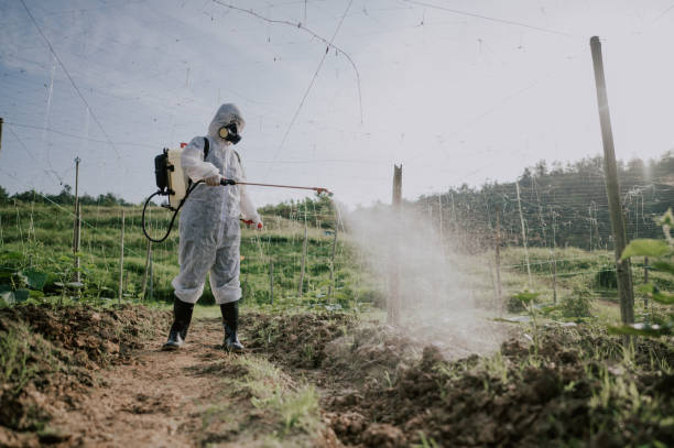 Best Termite Control Services  in Milton Freewater, OR