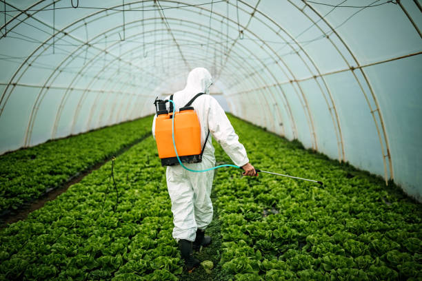 Best Ant Control Services  in Milton Freewater, OR