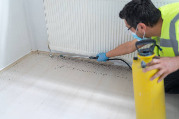 Best Emergency Pest Control  in Milton Freewater, OR