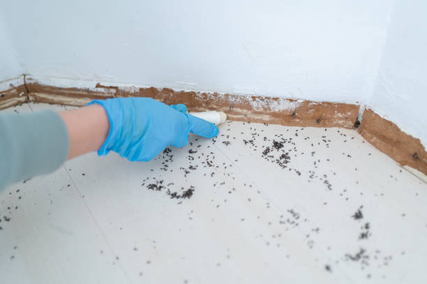 Best Affordable Pest Control Services  in Milton Freewater, OR